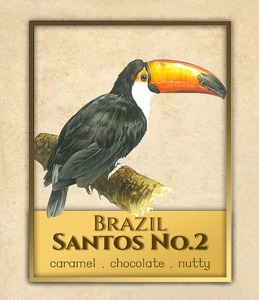 브라질 산토스 No.2