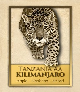탄자니아 AA 킬리만자로